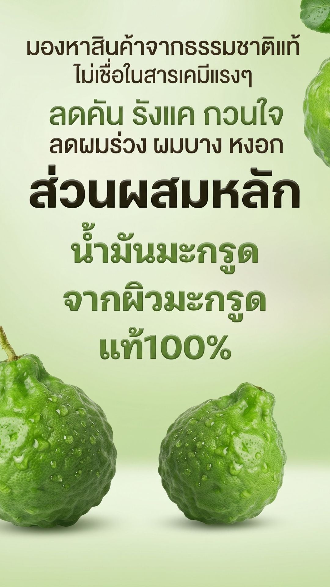 แชมพูมะกรูดCHATCHASA